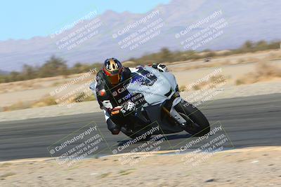 media/Mar-12-2022-SoCal Trackdays (Sat) [[152081554b]]/Turn 14 Inside (155pm)/